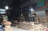 Đơn hàng sụt giảm, gỗ, dệt may, thủy sản gặp khó 