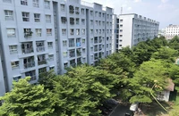 Nên phát triển nhà trọ và nhà ở xã hội cho thuê 