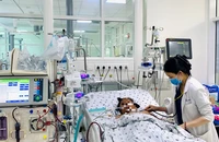 Nhập viện trễ, nhiều trẻ sốt xuất huyết nguy kịch 
