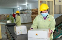 Nhiều nước ngừng xuất khẩu gạo: Thời cơ hiếm có cho hạt gạo Việt 