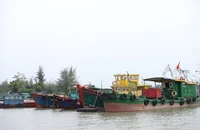 Sống trên tàu thuyền có được đăng ký thường trú không? 
