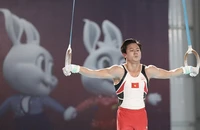 Thể dục dụng cụ nam lĩnh ấn