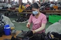 Nên cho rút BHXH 1 lần toàn bộ hay 50%?