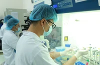 Theo GS Trương Nguyện Thành, môi trường giáo dục tại các trường đại học cần sự liêm chính khoa học. Trong ảnh: Sinh viên đang thực hành nghiên cứu khoa học tại trung tâm trực thuộc ĐH Quốc gia TP.HCM. Ảnh: THANH THÙY