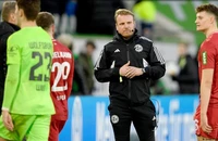 Chuyện thật như đùa ở Bundesliga, khán giả xuống sân làm trọng tài