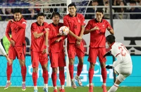 “Ngựa ô” đá nhau và căng thẳng trận Úc - Hàn Quốc