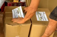 ĐIỀU TRA 'Hô biến' khoai tây Trung Quốc thành nông sản Đà Lạt - Bài 1: Trộn đất, dán nhãn là thành hàng Đà Lạt