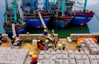 Ngư dân Nghệ An làm giàu từ biển