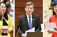Quốc hội tranh luận việc thành lập tòa phá sản, tòa sở hữu trí tuệ