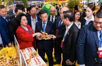 Đột phá tư duy, 'cởi trói' để doanh nhân vươn ra biển lớn