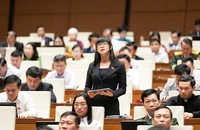 Quốc hội tranh luận ngưỡng doanh thu chịu thuế cho hộ kinh doanh
