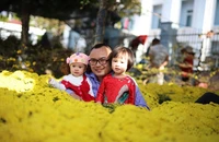Mê mẩn với chợ hoa Ban Mê chiều cuối năm