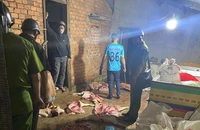 Bắt gần 1 tấn thịt heo bốc mùi hôi thối