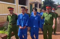 Tạm giữ nhóm người thuê ô tô đi trộm mèo