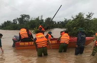  Đắk Lắk: Mưa lớn làm ngập nhà, hoa màu
