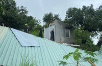Cưỡng chế các trường hợp xây dựng dựng sai phép ở Ghềnh Ráng