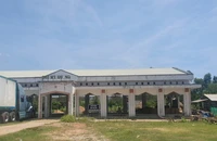 Xây chợ để đáp ứng tiêu chí nông thôn mới rồi… bỏ hoang