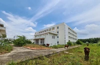 Bình Dương: Bệnh viện hàng trăm tỉ thành nơi trú ngụ của bò