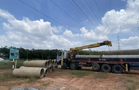 Điện lực Bình Dương cảnh báo vi phạm hành lang an toàn lưới điện cao áp