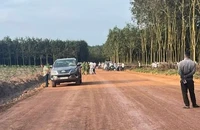 Đập phá ô tô rồi giết chết chủ xe tại rẫy cao su ở Bình Phước