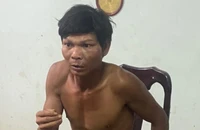 Nghi can dùng cuốc đập ô tô, sát hại chủ xe bị bắt