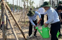 Bình Dương vận động người dân trồng cây xanh, nhân dịp sinh nhật Bác Hồ
