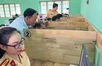 Công an Bình Dương sẵn sàng nhận nhiệm vụ sát hạch, cấp giấy phép lái xe