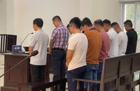 Giám đốc, phó giám đốc cùng 7 nhân viên Trung tâm đăng kiểm ở Bình Dương lãnh án
