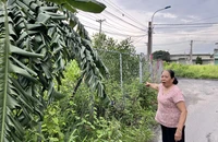 Dự án treo 18 năm, cử tri TP.HCM yêu cầu giám sát đến cùng