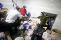 Hơn 700 kg thực phẩm đông lạnh không rõ nguồn gốc chuẩn bị tuồn ra thị trường