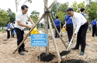 Khánh thành 'Vườn cây Hữu nghị' tại Phú An - Dấu ấn xanh kết nối bạn bè quốc tế