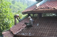Chậm tiến độ tháo dỡ 'biệt phủ' 100 tỉ tại rừng Hải Vân