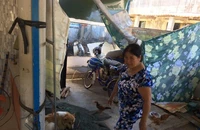 Vụ chó cắn 6 học sinh: Chó không được tiêm phòng dại