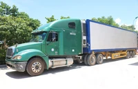 Bắt xe container chở 33.000 sản phẩm không rõ nguồn gốc