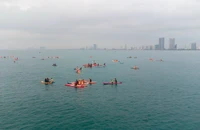 Đà Nẵng: 'Kích hoạt' Tổ phản ứng nhanh du lịch hỗ trợ du khách 