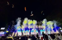 Khai mạc Lễ hội Tận hưởng mùa hè Đà Nẵng 