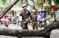 Đà Nẵng đưa 2 tổ công tác 'chi viện' TP Hà Nội và Hải Phòng khắc phục hậu quả cơn bão số 3