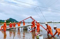 273 kỹ sư và công nhân điện lực miền Trung sẽ ra miền Bắc hỗ trợ khắc phục sự cố lưới điện