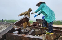 Hơn 1,3km đường sắt bị xói lở, cuốn trôi do bão Trà Mi