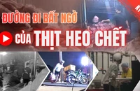 Điều tra: Thịt bẩn luồn lách đến bữa ăn - Kỳ 2: Heo chết được giao cho công ty suất ăn công nghiệp 