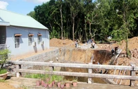Hàng chục vụ phá rừng và lấn chiếm đất trái luật tại Phú Quốc