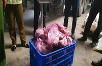 Thu giữ hơn 30 tấn thịt trâu, bò, vú heo... không rõ nguồn gốc
