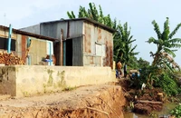 An Giang di dời khẩn cấp nhiều căn nhà do sạt lở bờ sông