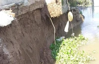 An Giang ban bố tình tình trạng khẩn cấp sạt lở kênh Ông Chưởng