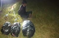 1 người Campuchia mang 20 kg cần sa qua Việt Nam