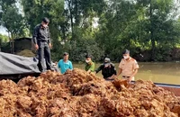 Bắt 12 phương tiện thủy chở đất trái phép từ Kiên Giang về An Giang