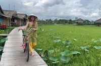 13 tỉnh ĐBSCL và TP.HCM bàn tìm giải pháp để du lịch nông nghiệp cất cánh
