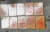 2 mẹ con ôm 10 bánh heroin từ Campuchia về TP.HCM bằng đường thuỷ