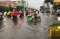 Cần Thơ lại ngập lênh láng sau cơn mưa