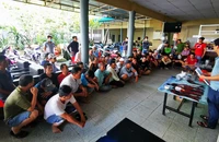Trà Vinh: Triệt phá điểm đá gà qua mạng trong quán cà phê